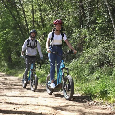 Center Parcs Le Bois Aux Daims Morton