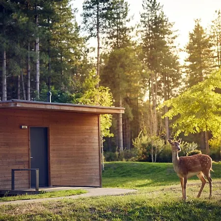 Center Parcs Le Bois Aux Daims Morton