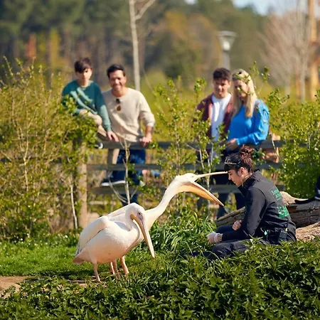 Center Parcs Le Bois Aux Daims 홀리데이파크 3*