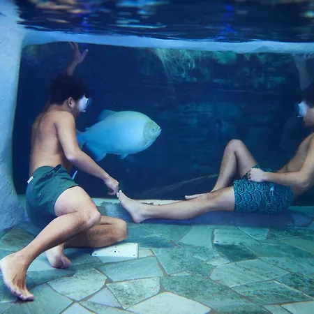 Center Parcs Le Bois Aux Daims Morton