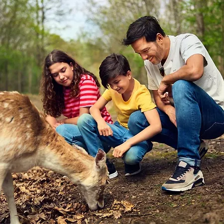 Center Parcs Le Bois Aux Daims Prázdninový areál Morton