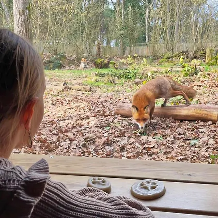 Center Parcs Le Bois Aux Daims