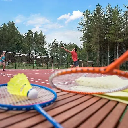 Center Parcs Le Bois Aux Daims 3*