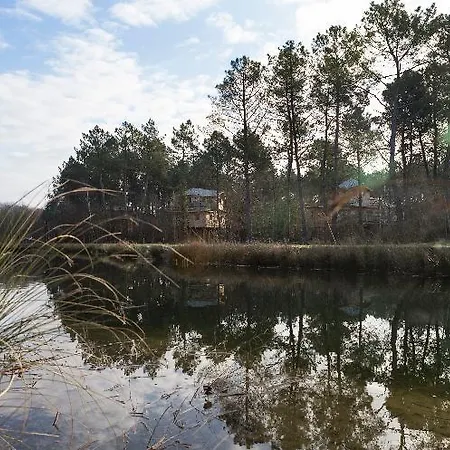 Center Parcs Le Bois Aux Daims Morton