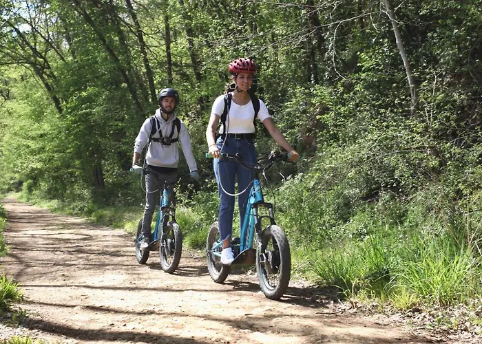 Center Parcs Le Bois Aux Daims Morton