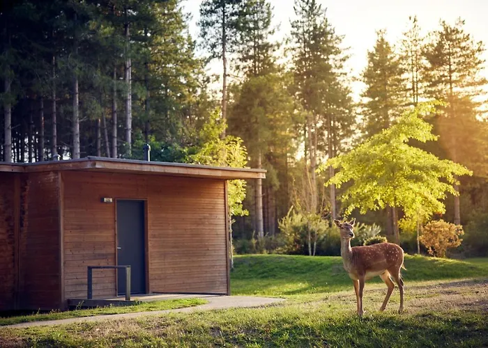 Center Parcs Le Bois Aux Daims Morton