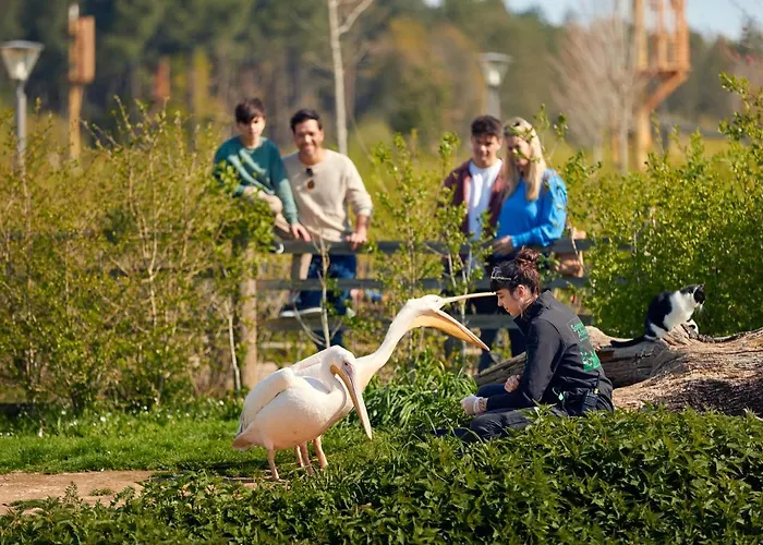 Center Parcs Le Bois Aux Daims Ferienpark 3*