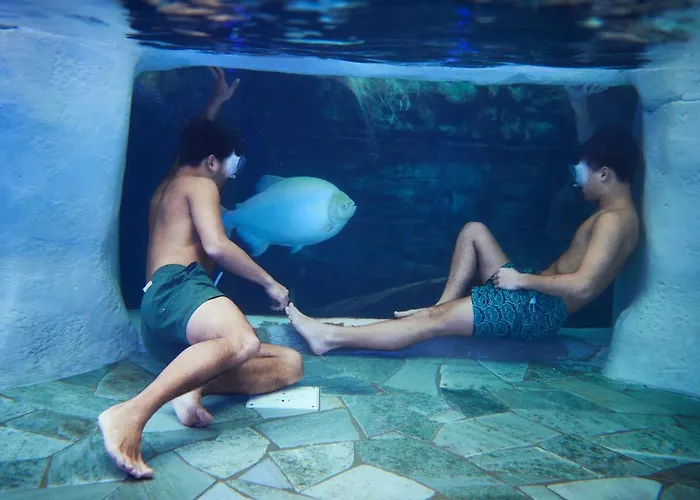 Center Parcs Le Bois Aux Daims Morton