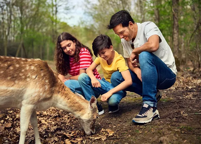Center Parcs Le Bois Aux Daims Ferienpark Morton