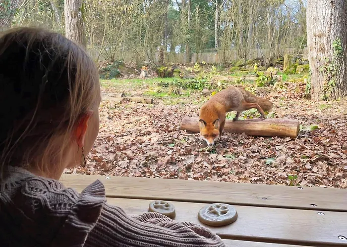 Center Parcs Le Bois Aux Daims