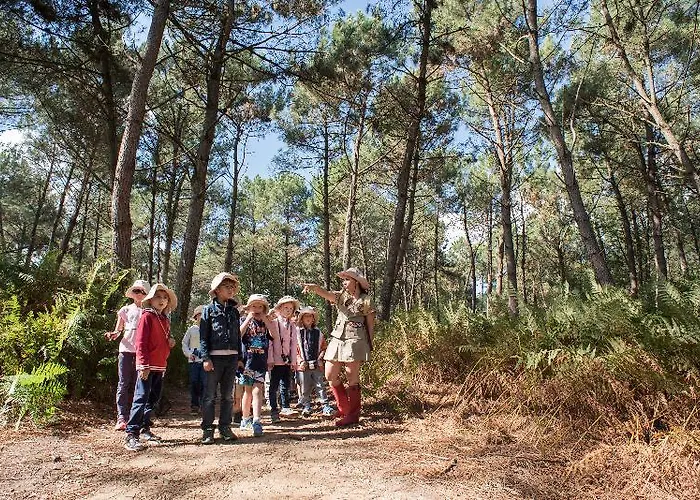 Center Parcs Le Bois Aux Daims Morton