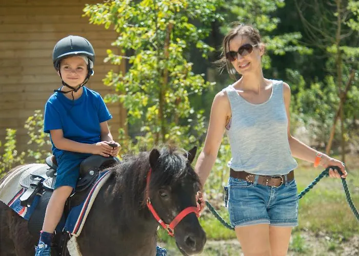 Center Parcs Le Bois Aux Daims 3* Morton