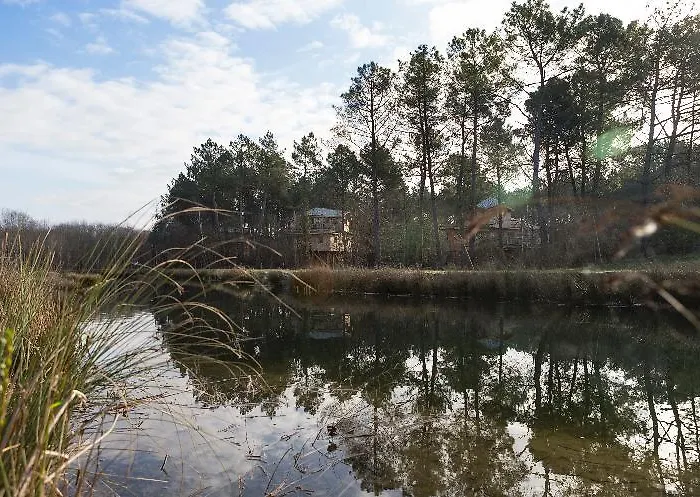 Center Parcs Le Bois Aux Daims Morton